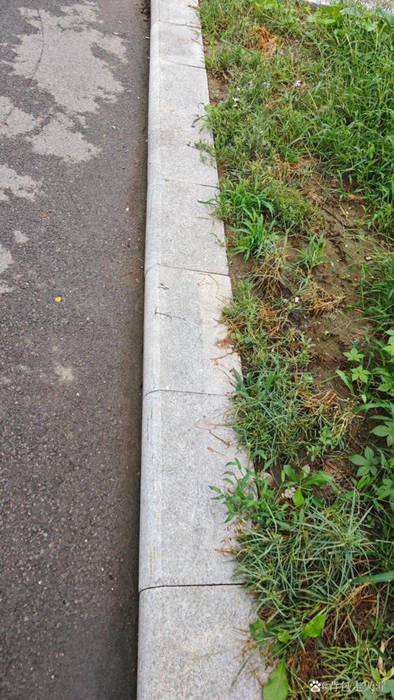 路边石：城市景观的点睛之笔